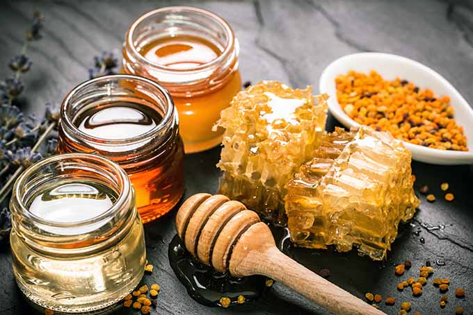 Wild Honey Menu Price List In Singapore